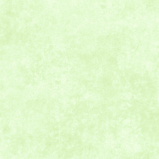 Maywood Studio Fabric - Shadow Play - Julep Mint #MAS513-GW2