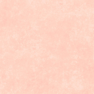 Maywood Studio Fabric - Shadow Play - Faded Rose #MAS513-CP5