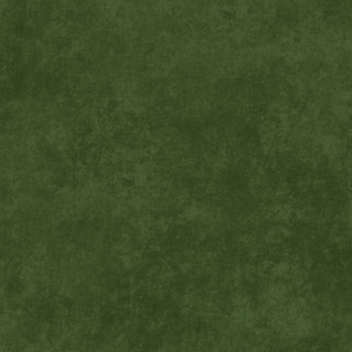Maywood Studio Fabric - Shadow Play - Fern #MAS513-GS