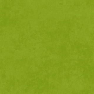 Maywood Studio Fabric - Shadow Play - Asparagus #MAS513-GGS
