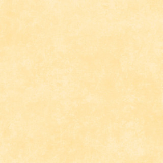 Maywood Studio Fabric - Shadow Play - Corn Silk Yellow #MAS513-SW2