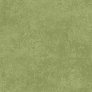 Maywood Studio Fabric - Shadow Play - Sage #MAS513-G26S
