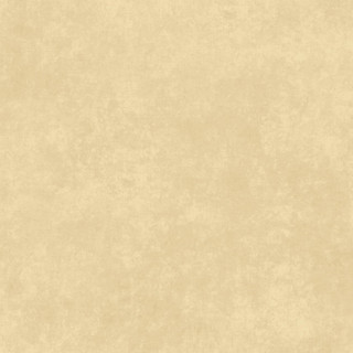 Maywood Studio Fabric - Shadow Play - Soft Tan #MAS513-EE2