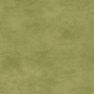Maywood Studio Fabric - Shadow Play - Nile #MAS513-GG