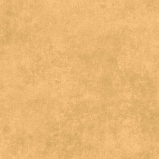 Maywood Studio Fabric - Shadow Play - Raffia #MAS513-T31