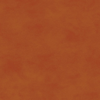 Maywood Studio Fabric - Shadow Play - Spice #MAS513-M17