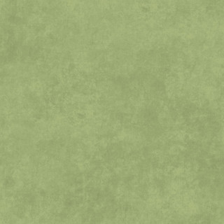 Maywood Studio Fabric - Shadow Play - Thyme #MAS513-GS2