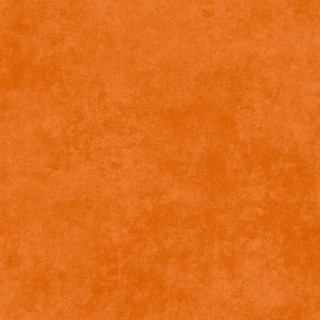 Maywood Studio Fabric - Shadow Play - Tangerine #MAS513-O8