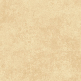 Maywood Studio Fabric - Shadow Play - Macadamia #MAS513-E5