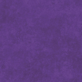 Maywood Studio Fabric - Shadow Play - Iris Purple #MAS513-VY