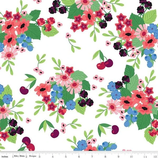 Riley Blake Designs -  Cloudburst - Main White #c16180-white