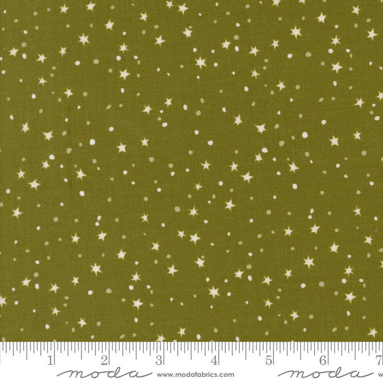Moda Fabrics - 321 Blast Off - Stars Earth #20955-19