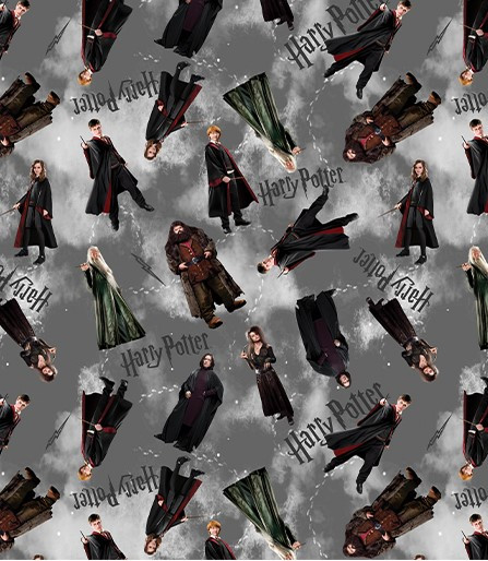 Benartex Fabrics - Harry Potter - Characters - Gray #15217-11