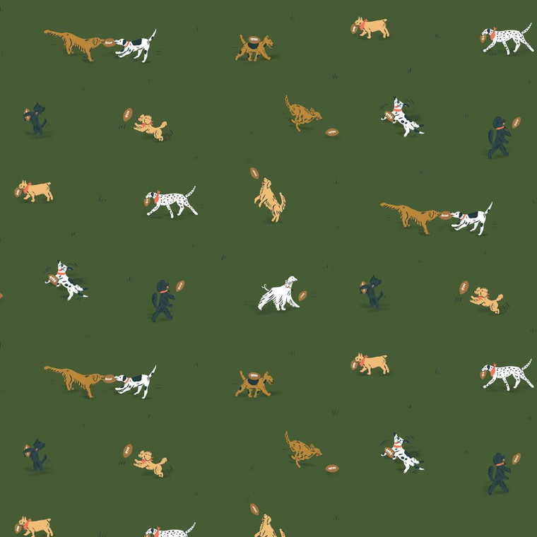 Cloud9 Fabrics - Touchdowns & Tailwags - Playing Field #229556