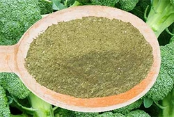 Nutradry Australian 100% Broccoli Powder