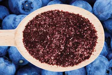Nutradry 100% Blueberry Powder