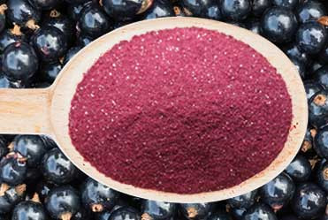 Nutradry Blackcurrant Juice Powder