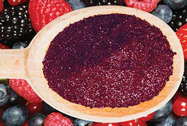 Nutradry Superfruit Juice Blend Powder