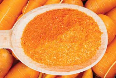 Nutradry Australian 100% Carrot Juice Powder