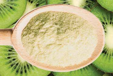Nutradry 100% Green Kiwi Fruit Powder