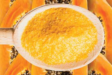 Nutradry 100% Papaya Powder