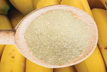 Nutradry Organic 100% Banana Powder
