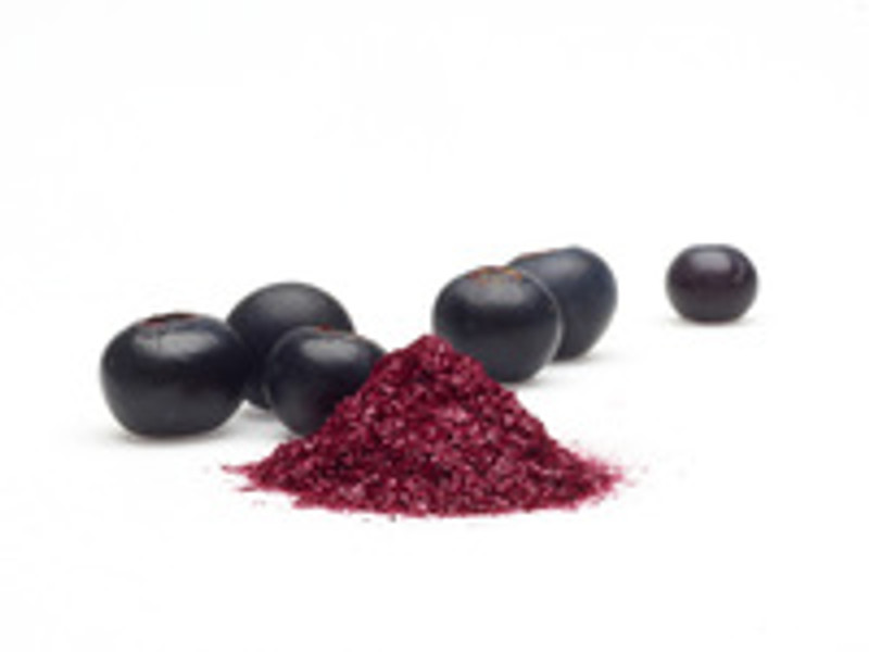 Blueberry Powder Power! Blueberry Powder Power!