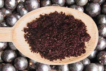 New Season Acai powder now available!