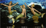 Coming to our website soon! New Mermaids!