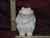 Ceramic Bisque U-Paint Frog Bank Unpainted Ready To Paint DIY Froggy Ribbit Cute Bow Tie Pipe