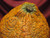 Realistic Pimply Pumpkin ~ Hand Painted Bisque ~ Ready to Display