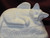 Ceramic Bisque U-Paint Beloved Pet ~ Cat Angel Cremation Urn ~ Memorial