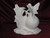 Ceramic Bisque Snail Fairy pyop Doc Holliday unpainted ready to paint diy