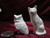 Ceramic Bisque Small Cat & Owl pyop unpainted ready to paint diy