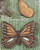 Ceramic Bisque Butterfly Wall Hangings pyop unpainted ready to paint diy