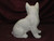 Ceramic Bisque Sitting Cat Kitten pyop unpainted ready to paint diy