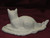 Ceramic Bisque Maine Coon Cat Kitten pyop unpainted ready to paint diy