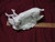 Ceramic Bisque Bobcat on Log pyop unpainted ready to paint diy