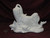 Ceramic Bisque Shih Tzu Dog On Rock Base pyop unpainted ready to paint diy