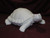 Ceramic Bisque Realistic Turtle pyop unpainted ready to paint diy