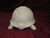 Ceramic Bisque Turtle pyop unpainted ready to paint diy
