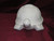 Ceramic Bisque Turtle pyop unpainted ready to paint diy