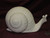 Ceramic Bisque Large Snail pyop unpainted ready to paint diy