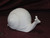 Ceramic Bisque Medium Snail pyop unpainted ready to paint diy