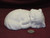 Ceramic Bisque U-Paint Sleeping Kitty Cat ~ Kitten Unpainted Ready To Paint DIY