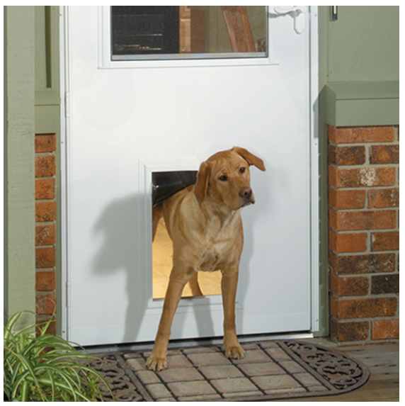retractable screen door with dog door