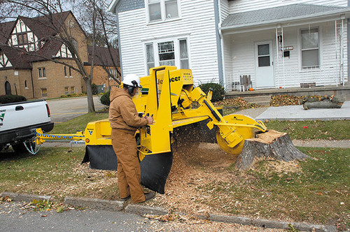 https://www.vermeer.com/getmedia/43887243-e8ed-4c6c-9563-f4b35d89b4ec/sc802-stump-cutter-in-action?width=670&height=445&ext=.jpg