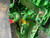 http://used.rdoequipment.com/getImageS2.cfm?imgID=10241476&filename=14_IMG_1251.jpg