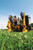 https://www.vermeer.com/getmedia/ad594ae5-5ce1-4fe0-ab41-1016fd90591a/d24x40-s3-utility-drill-in-action?width=670&height=1005&ext=.jpg