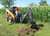 https://www.paladinattachments.com/sites/default/files/styles/product__zoom/public/509B%20Backhoe%20Application.jpg?itok=XT2jupNV